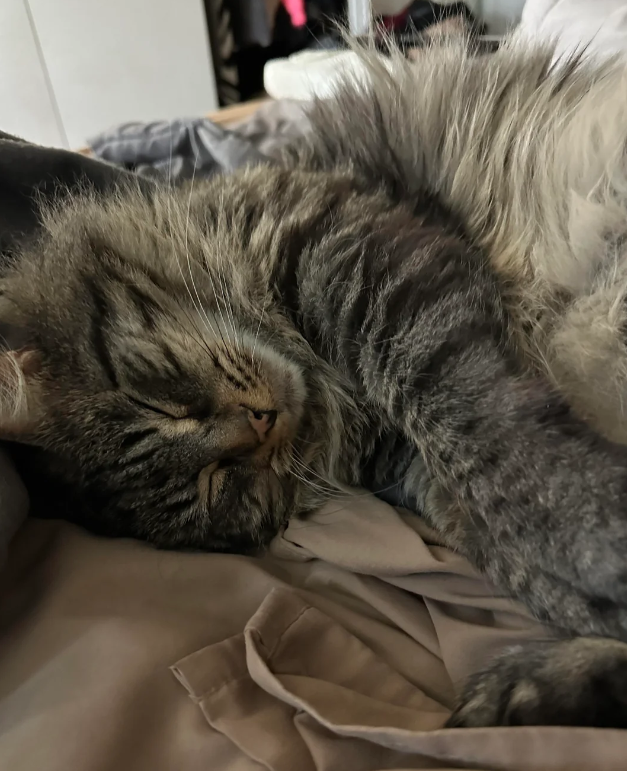 Cheezburger Image 10621550336