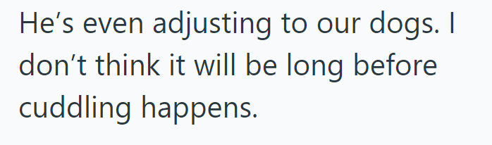 He's even adjusting to our dogs. I don't think it will be long before cuddling happens.