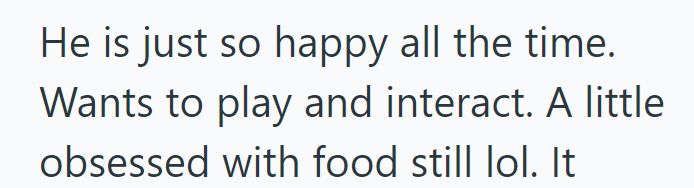 He is just so happy all the time. Wants to play and interact. A little obsessed with food still lol. It