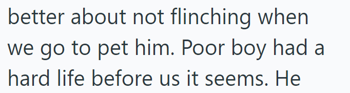 better about not flinching when we go to pet him. Poor boy had a hard life before us it seems. He