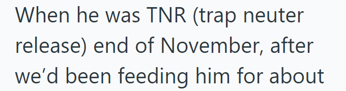 When he was TNR (trap neuter release) end of November, after we'd been feeding him for about