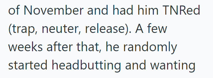 of November and had him TNRed (trap, neuter, release). A few weeks after that, he randomly started headbutting and wanting