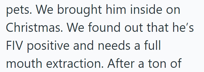 pets. We brought him inside on Christmas. We found out that he's FIV positive and needs a full mouth extraction. After a ton of