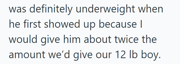 was definitely underweight when he first showed up because I would give him about twice the amount we'd give our 12 lb boy.
