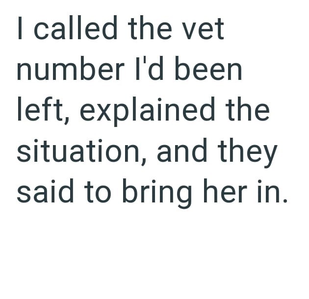 I called the vet number I'd been left, explained the situation, and they said to bring her in.