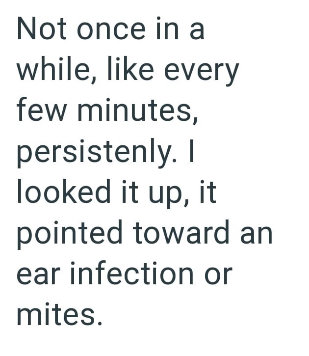 Cheezburger Image 10621555968