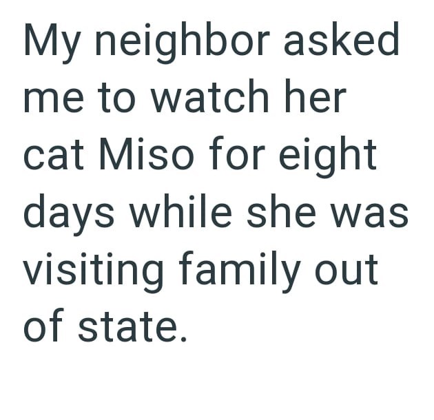 My neighbor asked me to watch her cat Miso for eight days while she was visiting family out of state.