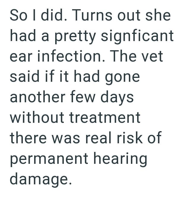 So I did. Turns out she had a pretty signficant ear infection. The vet said if it had gone another few days without treatment there was real risk of permanent hearing damage.