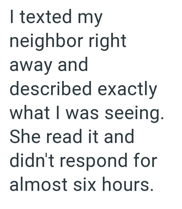 I texted my neighbor right away and described exactly what I was seeing. She read it and didn't respond for almost six hours.