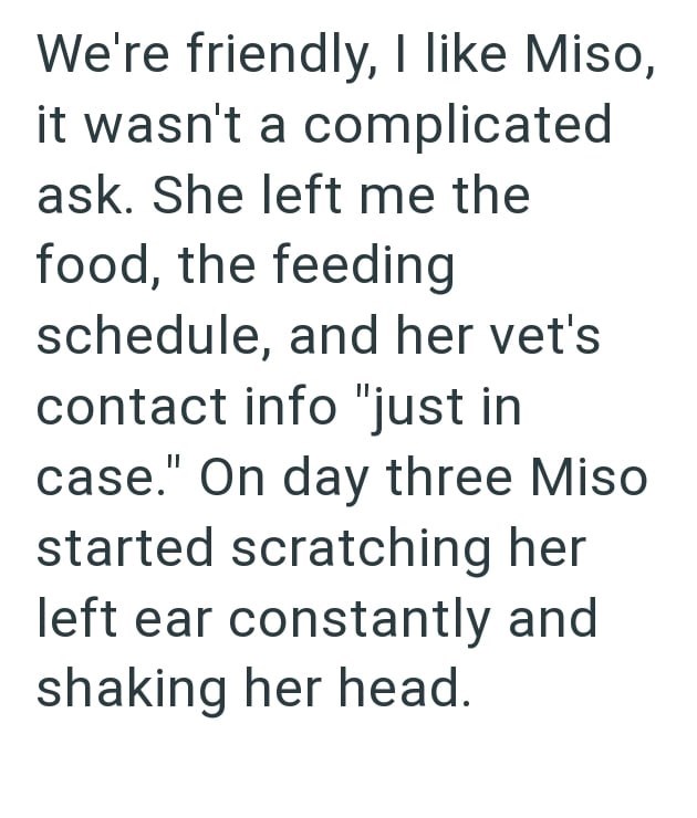 We're friendly, I like Miso, it wasn't a complicated ask. She left me the food, the feeding schedule, and her vet's contact info "just in case." On day three Miso started scratching her left ear constantly and shaking her head.