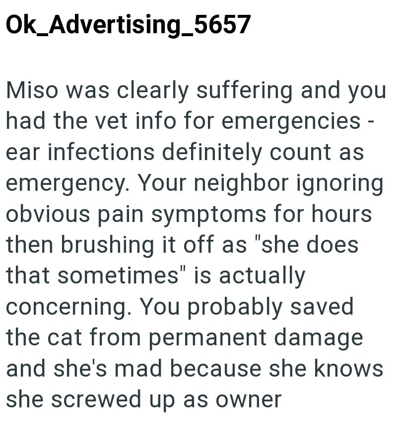 Ok_Advertising_5657 Miso was clearly suffering and you had the vet info for emergencies - ear infections definitely count as emergency. Your neighbor ignoring obvious pain symptoms for hours then brushing it off as "she does that sometimes" is actually concerning. You probably saved the cat from permanent damage and she's mad because she knows she screwed up as owner