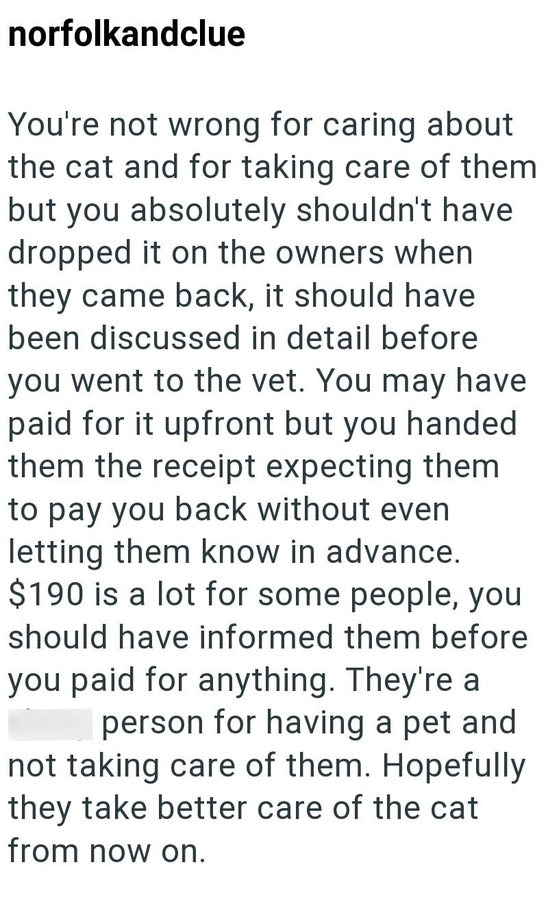 norfolkandclue You're not wrong for caring about the cat and for taking care of them but you absolutely shouldn't have dropped it on the owners when they came back, it should have been discussed in detail before you went to the vet. You may have paid for it upfront but you handed them the receipt expecting them. to pay you back without even letting them know in advance. $190 is a lot for some people, you should have informed them before you paid for anything. They're a person for having a pet an