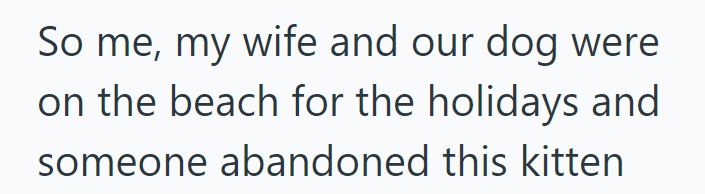 So me, my wife and our dog were on the beach for the holidays and someone abandoned this kitten