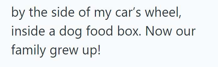 by the side of my car's wheel, inside a dog food box. Now our family grew up!