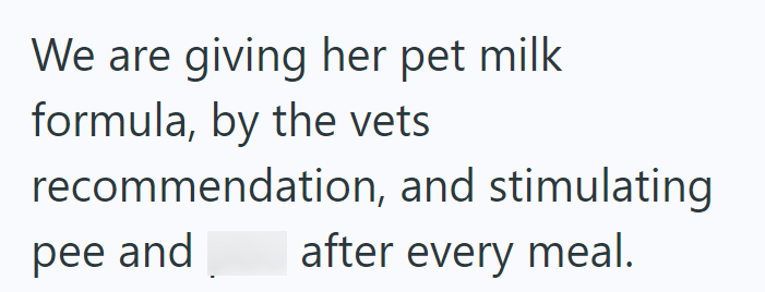 We are giving her pet milk formula, by the vets recommendation, and stimulating pee and after every meal.
