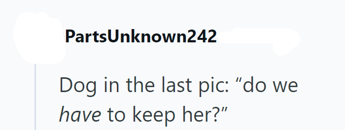 PartsUnknown242 Dog in the last pic: "do we have to keep her?"