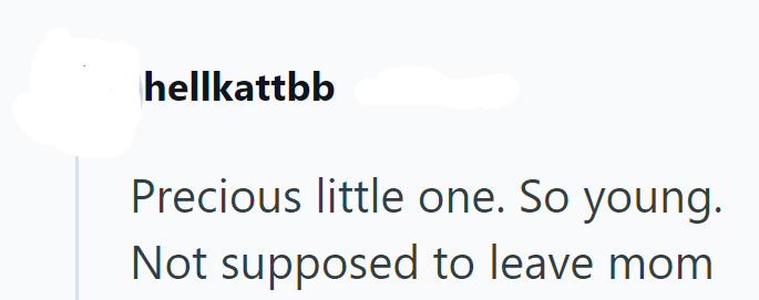 hellkattbb Precious little one. So young. Not supposed to leave mom