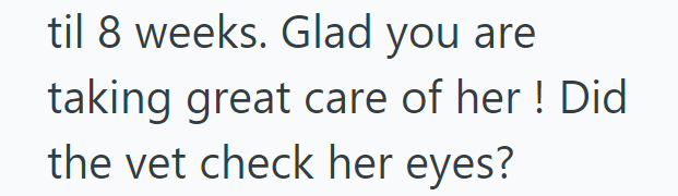 til 8 weeks. Glad you are taking great care of her! Did the vet check her eyes?