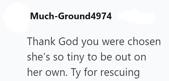 Much-Ground4974 Thank God you were chosen she's so tiny to be out on her own. Ty for rescuing
