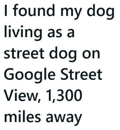 I found my dog living as a street dog on Google Street View, 1,300 miles away