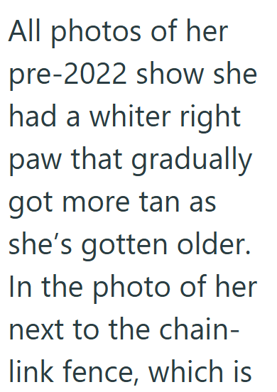 All photos of her pre-2022 show she had a whiter right paw that gradually got more tan as she's gotten older. In the photo of her next to the chain- link fence, which is