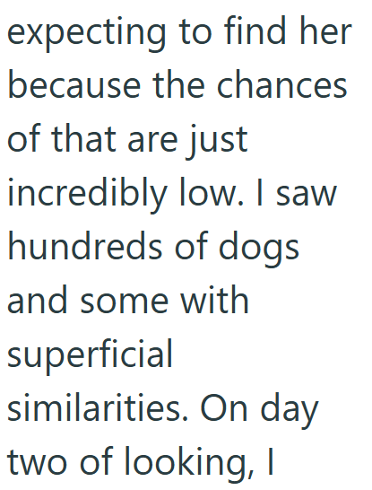 expecting to find her because the chances of that are just incredibly low. I saw hundreds of dogs and some with superficial similarities. On day two of looking, I