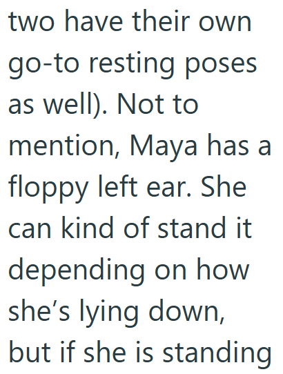 two have their own go-to resting poses as well). Not to mention, Maya has a floppy left ear. She can kind of stand it depending on how she's lying down, but if she is standing