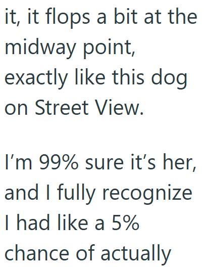 it, it flops a bit at the midway point, exactly like this dog on Street View. I'm 99% sure it's her, and I fully recognize I had like a 5% chance of actually