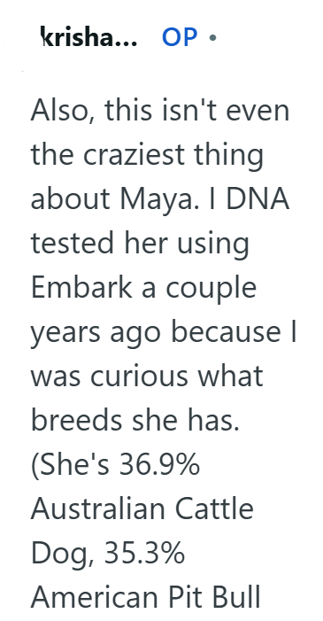 krisha... OP • Also, this isn't even the craziest thing about Maya. I DNA tested her using Embark a couple years ago because | was curious what breeds she has. (She's 36.9% Australian Cattle Dog, 35.3% American Pit Bull