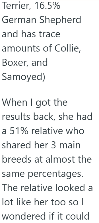 Terrier, 16.5% German Shepherd and has trace amounts of Collie, Boxer, and Samoyed) When I got the results back, she had a 51% relative who shared her 3 main breeds at almost the same percentages. The relative looked a lot like her too so I wondered if it could