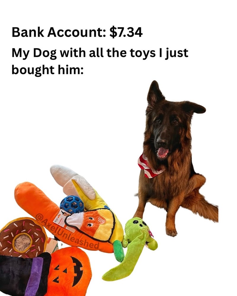 Bank Account: $7.34 My Dog with all the toys I just bought him: Durablez @AxelUnleashed