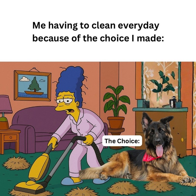 Me having to clean everyday because of the choice I made: @axelunleashed The Choice: