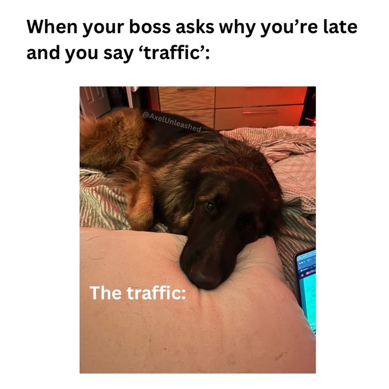 When your boss asks why you're late and you say 'traffic': @AxelUnleashed. The traffic: