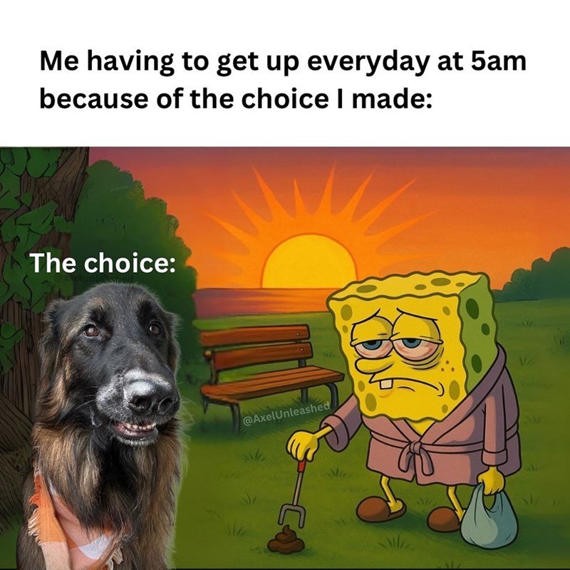 Me having to get up everyday at 5am because of the choice I made: The choice: W @AxelUnleashed