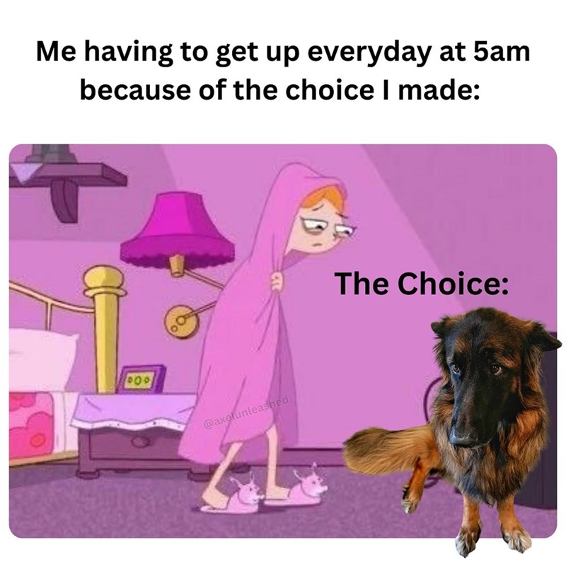 Me having to get up everyday at 5am because of the choice I made: 000 @axelunleashed The Choice: