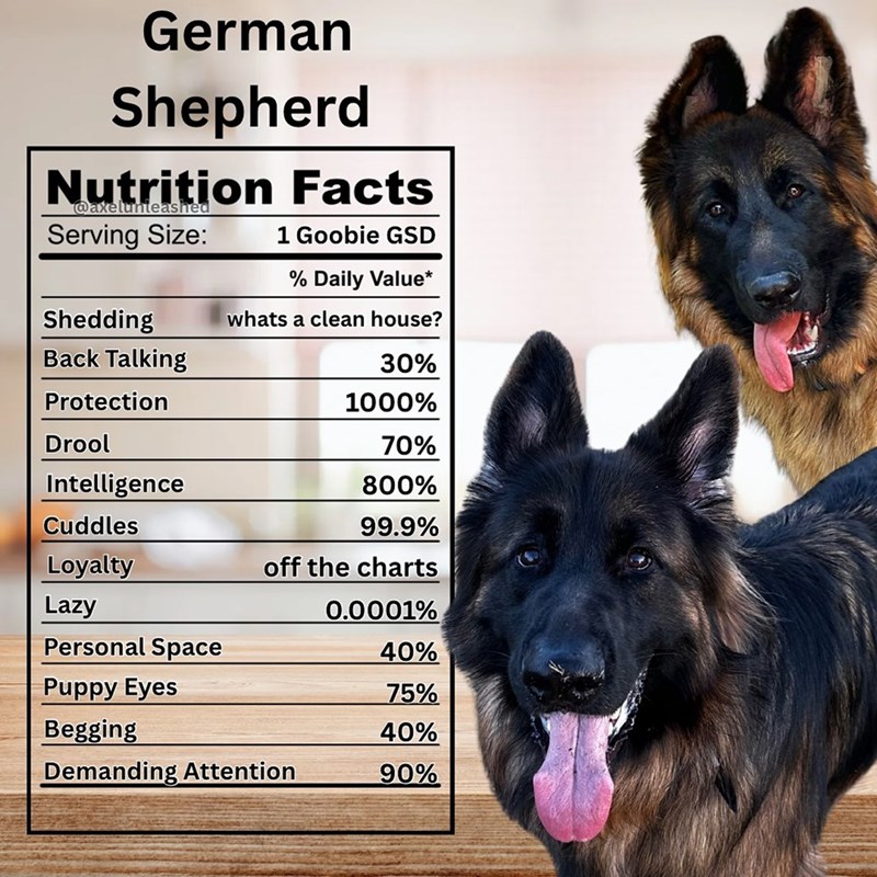 German Shepherd Nutrition Facts @axelunteashed Serving Size: 1 Goobie GSD Shedding Back Talking Protection % Daily Value* whats a clean house? 30% 1000% Drool 70% Intelligence 800% Cuddles 99.9% Loyalty off the charts Lazy 0.0001% Personal Space 40% Puppy Eyes 75% Begging 40% Demanding Attention 90%