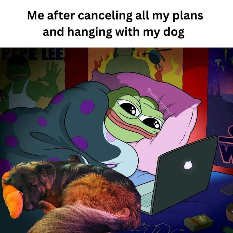 Me after canceling all my plans and hanging with my dog PEPE LEE @axelunleashed V
