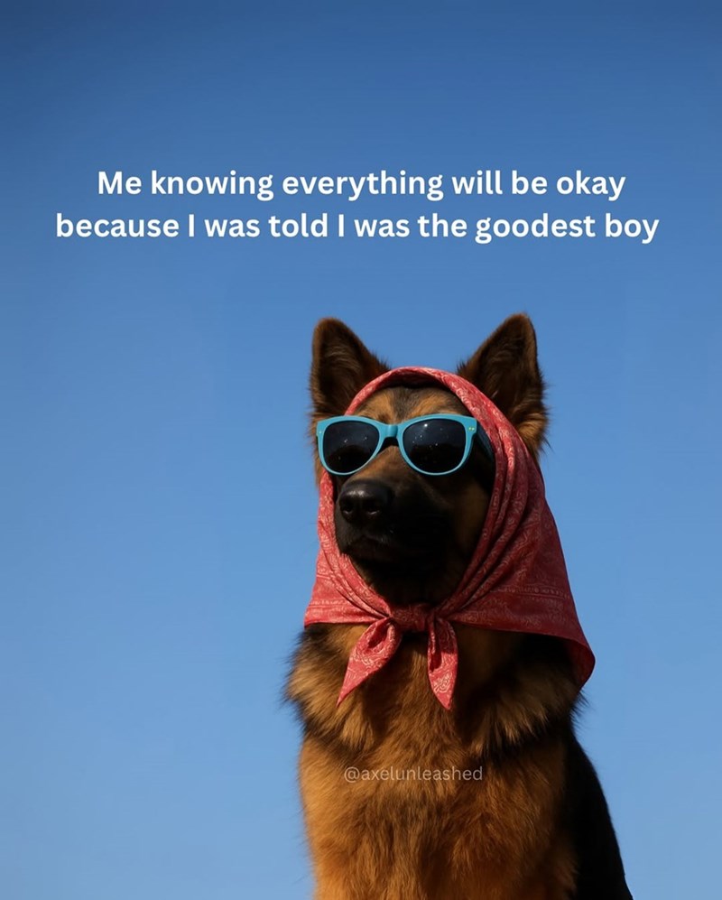 Me knowing everything will be okay because I was told I was the goodest boy @axelunleashed