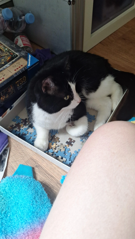 P 00000 KIYYM 759 Powde Ravensburger