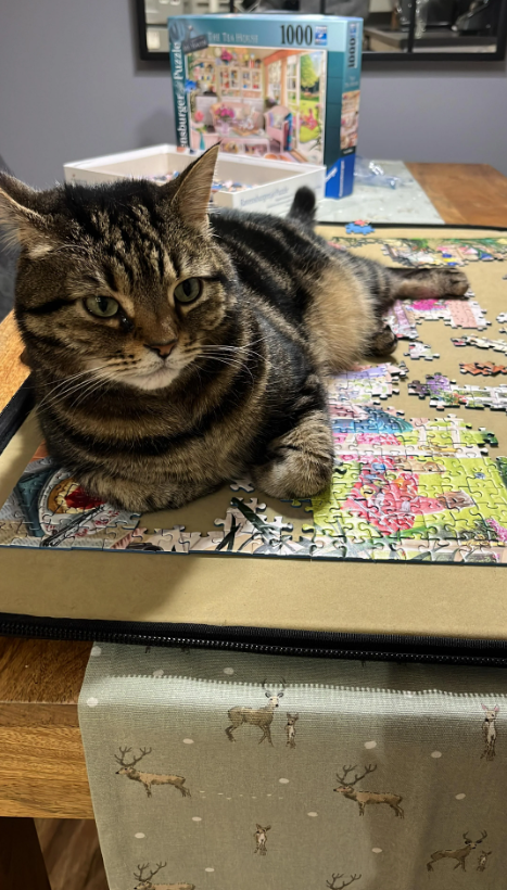 nsburger Puzzle THE TEA HOUSE 1000