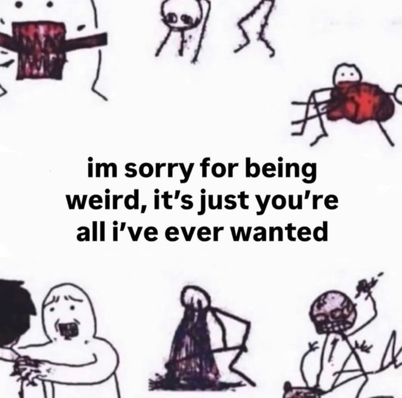 单 im sorry for being weird, it's just you're all i've ever wanted