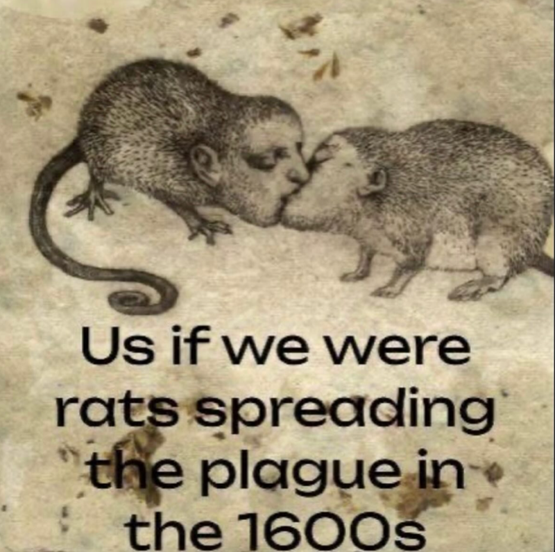 Us if we were rats spreading the plague in the 1600s