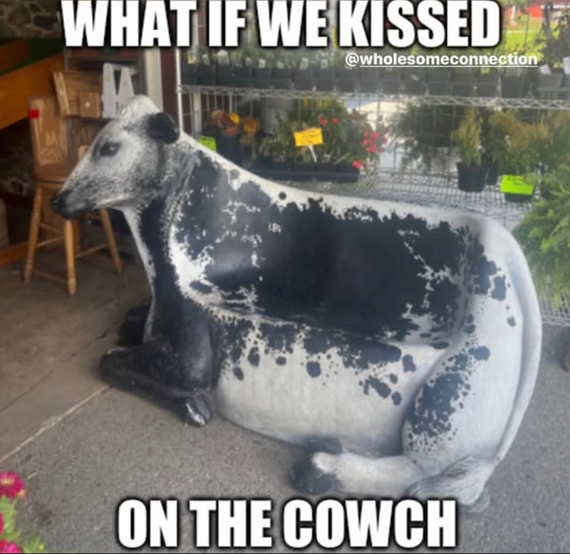 WHAT IF WE KISSED @wholesomeconnection ON THE COWCH