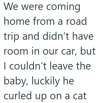 We were coming home from a road trip and didn't have room in our car, but I couldn't leave the baby, luckily he curled up on a cat