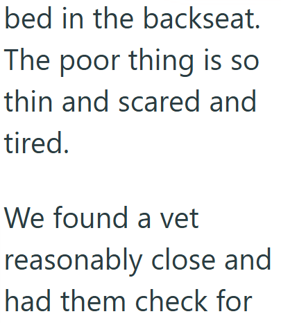 bed in the backseat. The poor thing is so thin and scared and tired. We found a vet reasonably close and had them check for