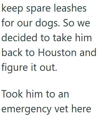 keep spare leashes for our dogs. So we decided to take him back to Houston and figure it out. Took him to an emergency vet here