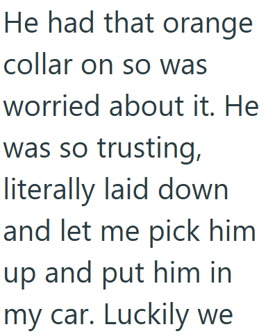 He had that orange collar on so was worried about it. He was so trusting, literally laid down and let me pick him up and put him in my car. Luckily we