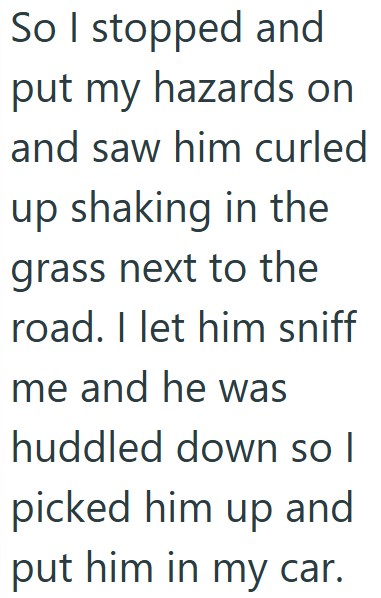 So I stopped and put my hazards on and saw him curled up shaking in the grass next to the road. I let him sniff me and he was huddled down so I picked him up and put him in my car.