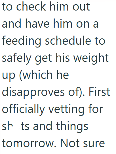to check him out and have him on a feeding schedule to safely get his weight up (which he disapproves of). First officially vetting for shts and things tomorrow. Not sure