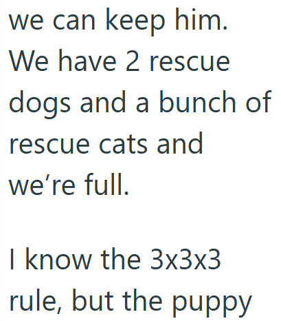 we can keep him. We have 2 rescue dogs and a bunch of rescue cats and we're full. I know the 3x3x3 rule, but the puppy